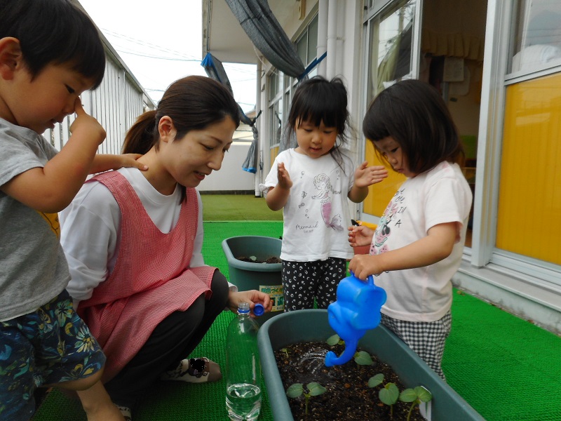 水やりの様子