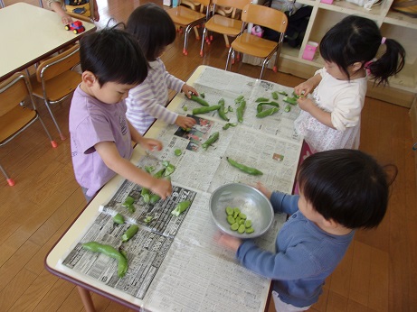 そら豆をさやから外す様子