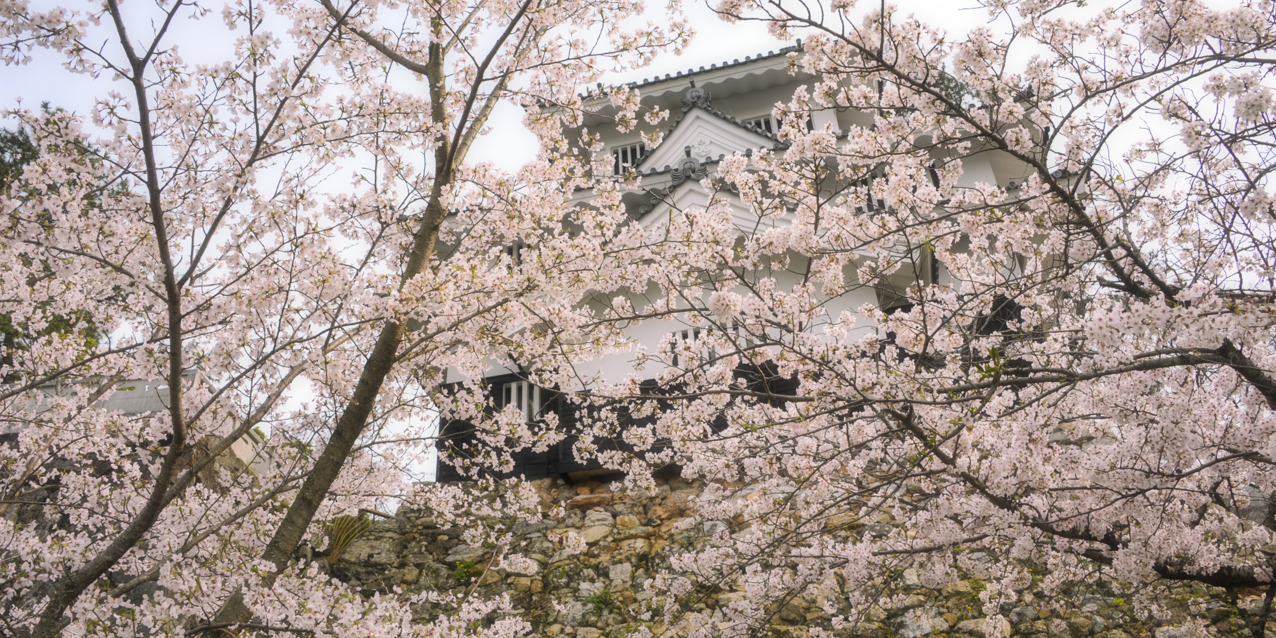 春の吉田城