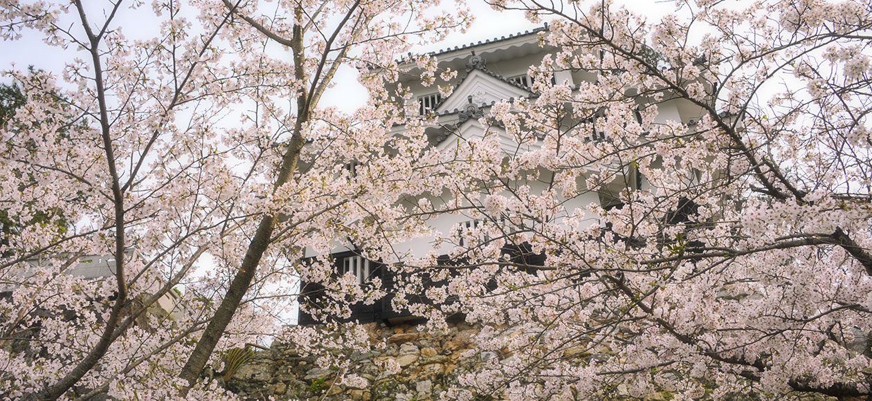 春の吉田城