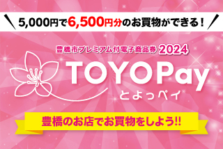 TOYOpay