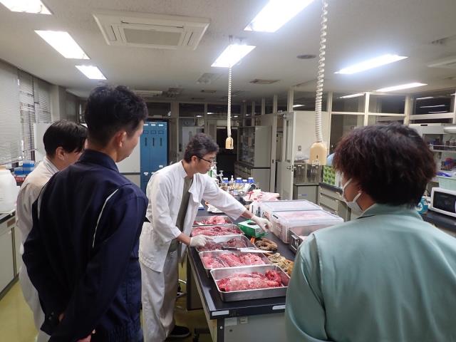 内臓を用いた病変の説明