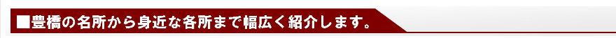 豊橋の名所から身近な場所まで紹介