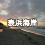 表浜海岸