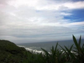 表浜海岸の全景