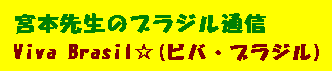 宮本先生のブラジル通信