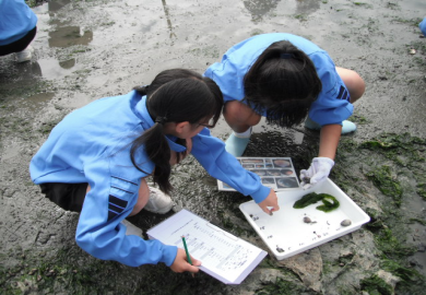 生物調査の様子