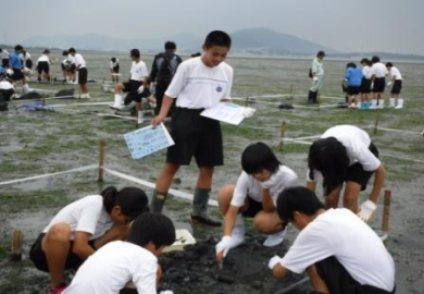 生き物の種類を調べてメモ