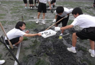 捕まえた生き物はバットへ