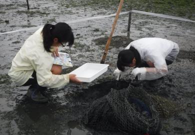 生物調査