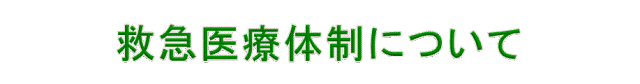 救急医療体制について