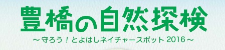 豊橋の自然探検