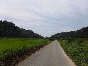 小判田の水田の画像