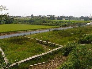 天伯湿地の画像