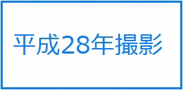 平成28年撮影