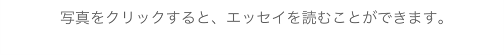 写真をクリックすると、エッセイを読むことができます