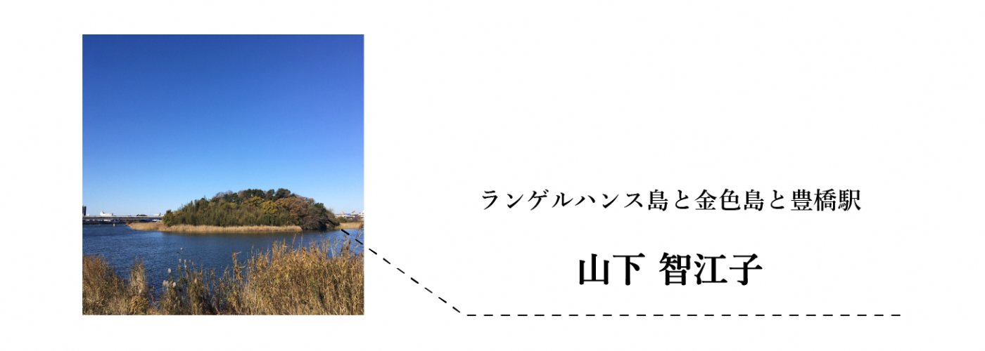 ランゲルハンス島と金色鳥と豊橋駅