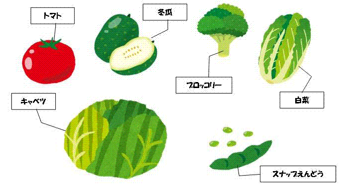 野菜イラスト