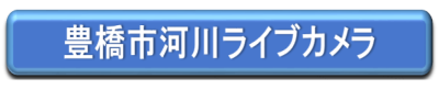 豊橋市河川ライブカメラ