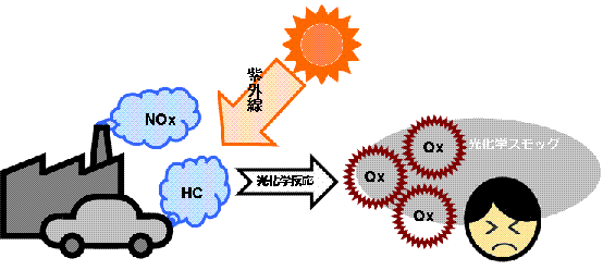 発生メカニズムの画像