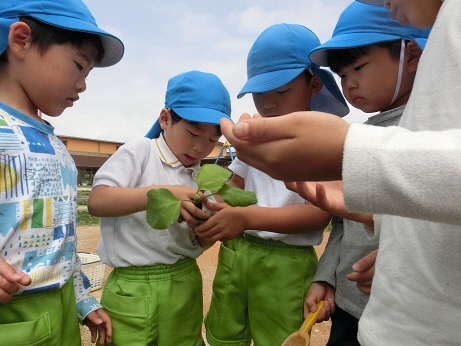 ５歳児の様子