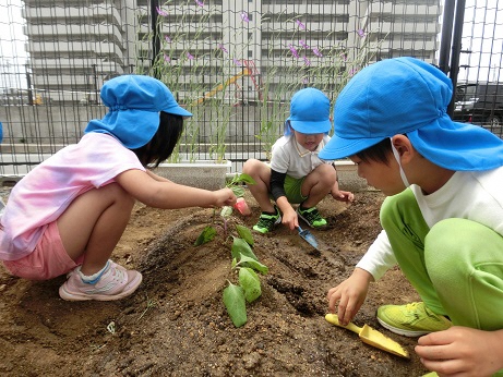 5歳児の様子