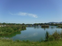 長三池（幸公園）