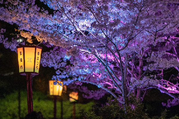 春のイベント